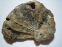 Unknown  Spain. Subida por Granotius